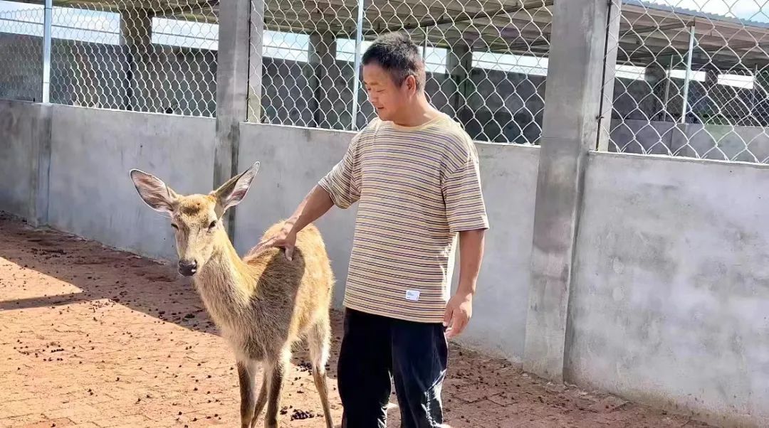十博官网手机登